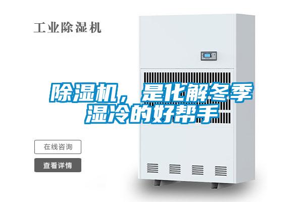 麻豆视频黄网站，是化解冬季湿冷的好帮手