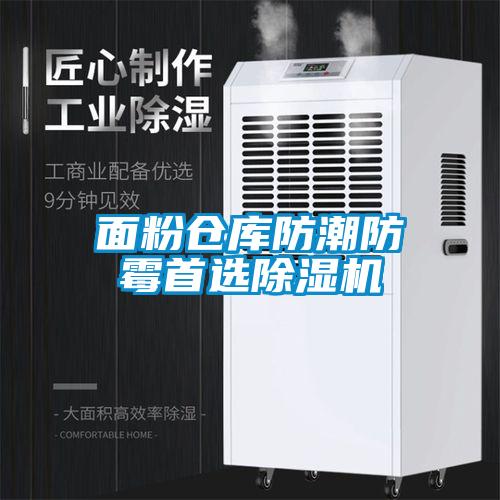 面粉仓库防潮防霉首选麻豆视频黄网站