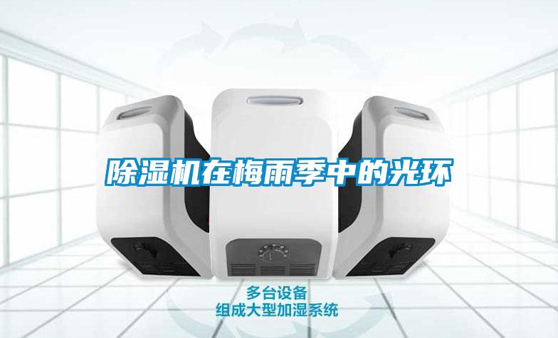 麻豆视频黄网站在梅雨季中的光环
