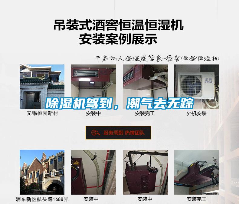 麻豆视频黄网站驾到，潮气去无踪