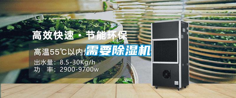 需要麻豆视频黄网站