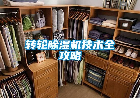 转轮麻豆视频黄网站技术全攻略