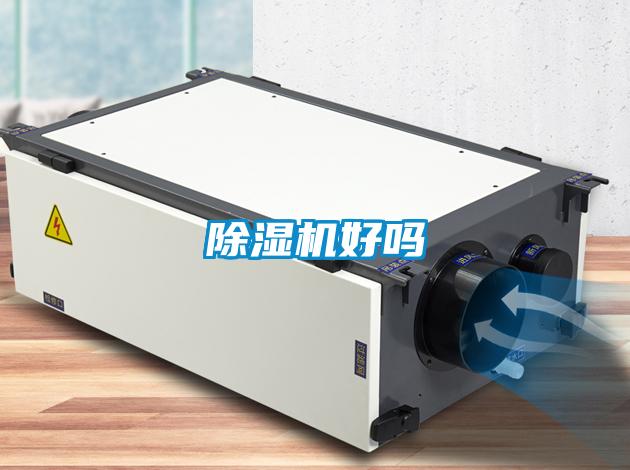 麻豆视频黄网站好吗