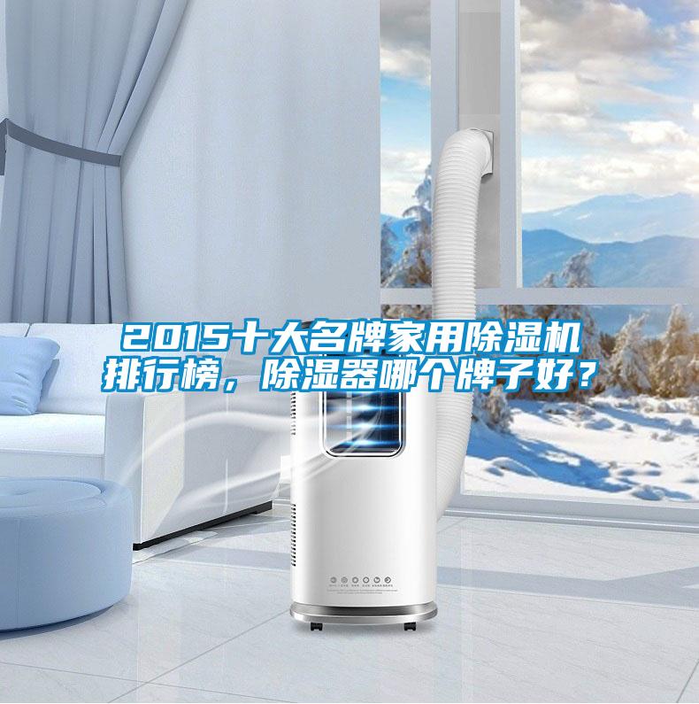 2015十大名牌家用麻豆视频黄网站排行榜，除湿器哪个牌子好？