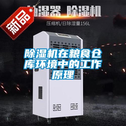 麻豆视频黄网站在粮食仓库环境中的工作原理