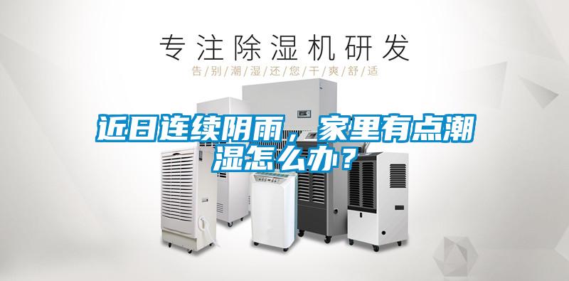 近日连续阴雨，家里有点潮湿怎么办？