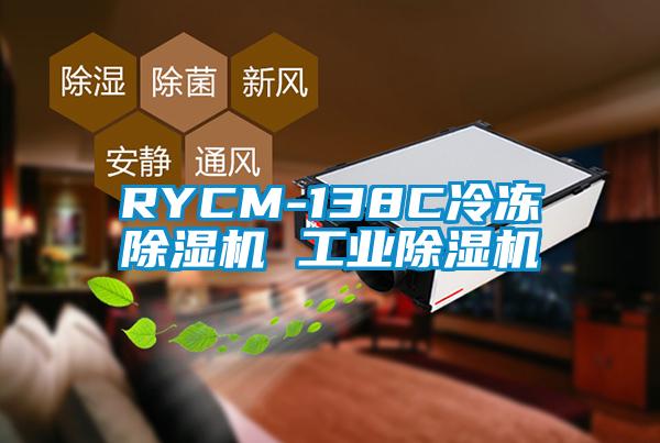 RYCM-138C冷冻麻豆视频黄网站 工业麻豆视频黄网站