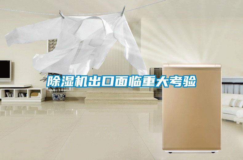 麻豆视频黄网站出口面临重大考验
