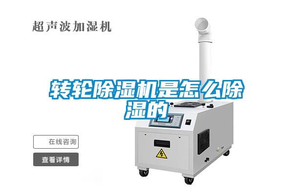 转轮麻豆视频黄网站是怎么除湿的