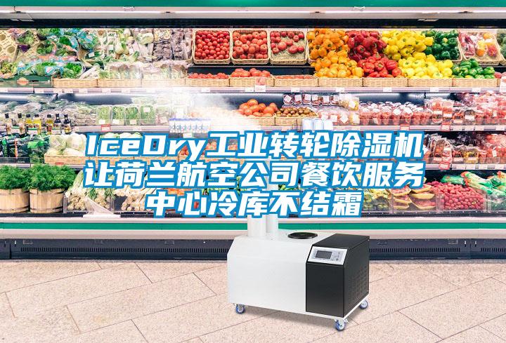 IceDry工业转轮麻豆视频黄网站让荷兰航空公司餐饮服务中心冷库不结霜