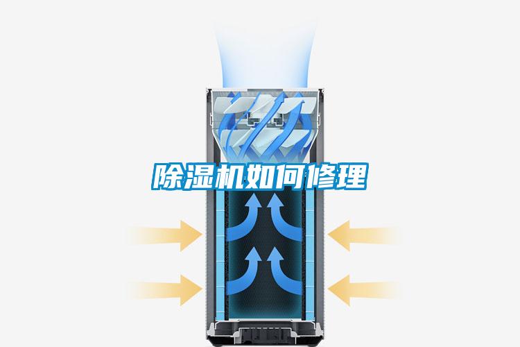 麻豆视频黄网站如何修理