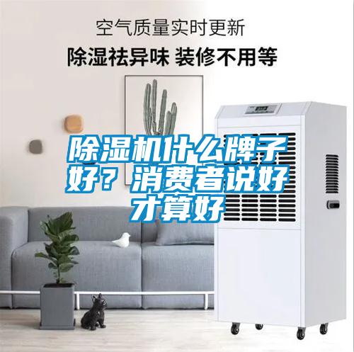 麻豆视频黄网站什么牌子好？消费者说好才算好