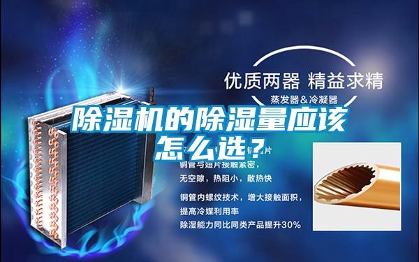 麻豆视频黄网站的除湿量应该怎么选？