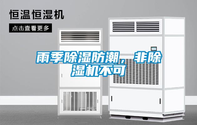 雨季除湿防潮，非麻豆视频黄网站不可