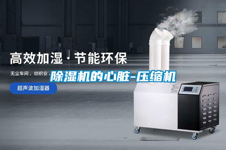 麻豆视频黄网站的心脏-压缩机