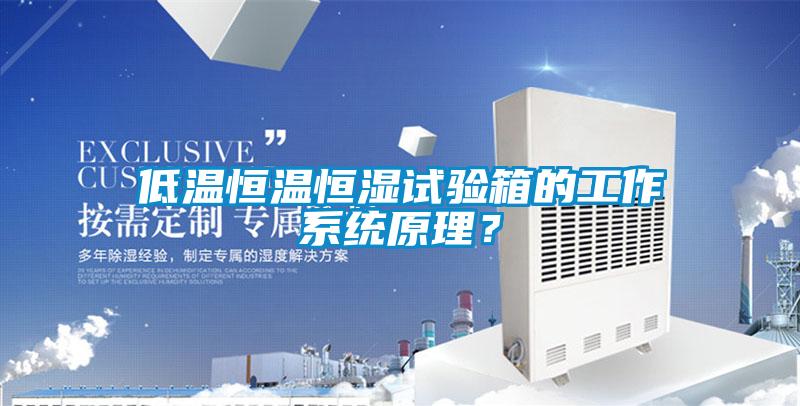 低温恒温恒湿试验箱的工作系统原理？