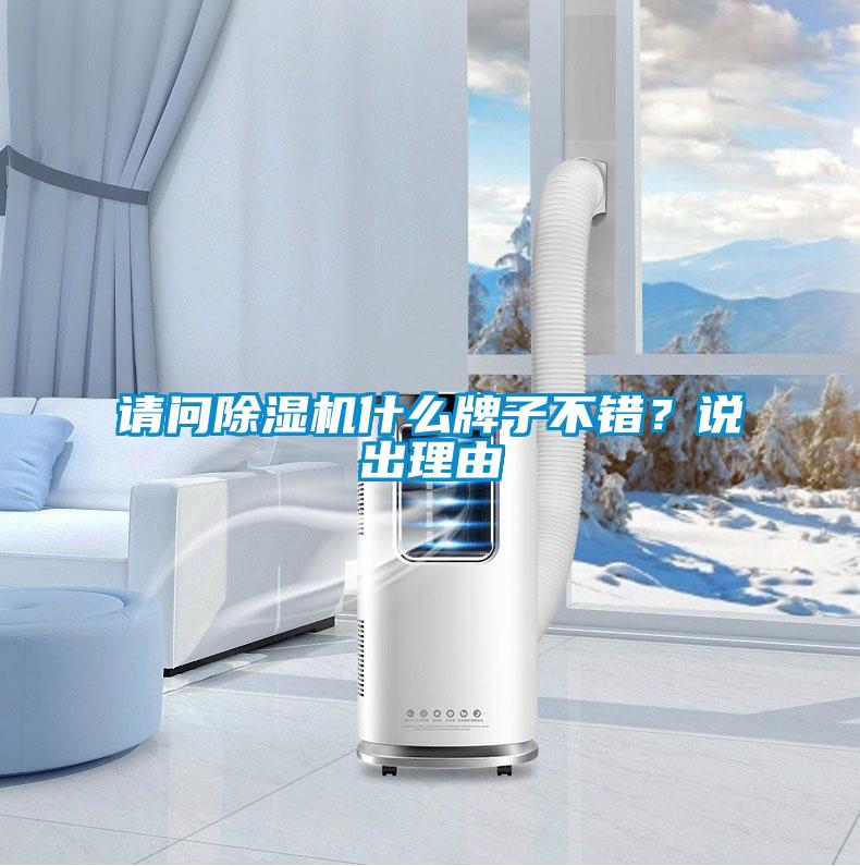 请问麻豆视频黄网站什么牌子不错？说出理由