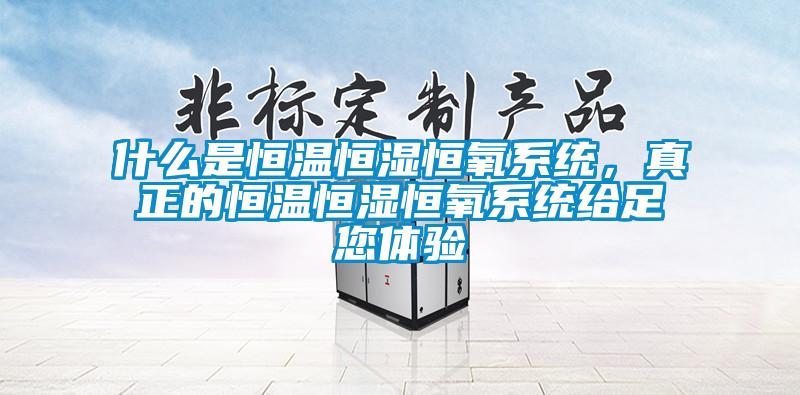 什么是恒温恒湿恒氧系统，真正的恒温恒湿恒氧系统给足您体验