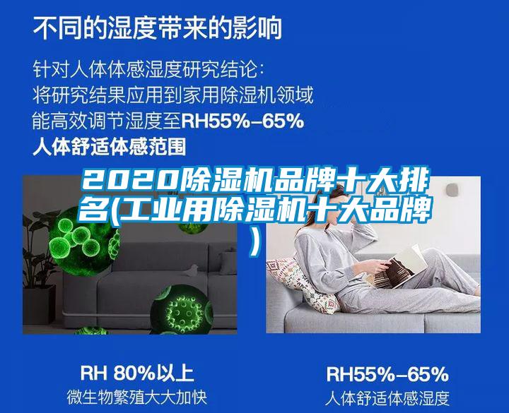 2020麻豆视频黄网站品牌十大排名(工业用麻豆视频黄网站十大品牌)