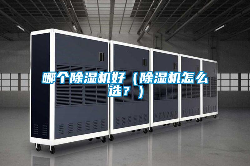 哪个麻豆视频黄网站好（麻豆视频黄网站怎么选？）