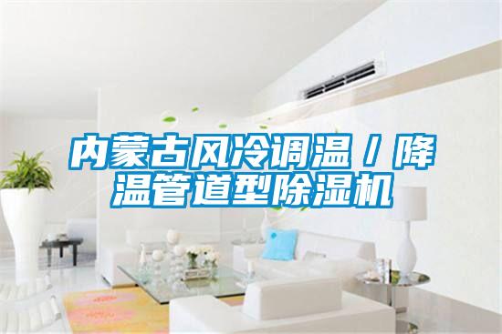 内蒙古风冷调温／降温管道型麻豆视频黄网站