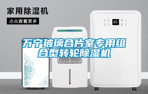 万宁玻璃合片室专用组合型转轮麻豆视频黄网站
