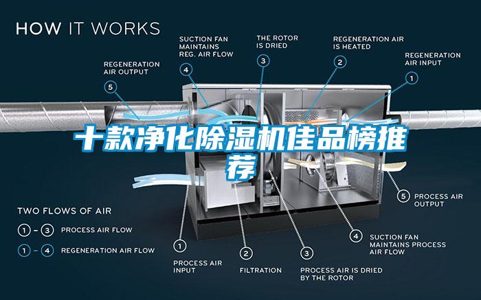 十款净化麻豆视频黄网站佳品榜推荐