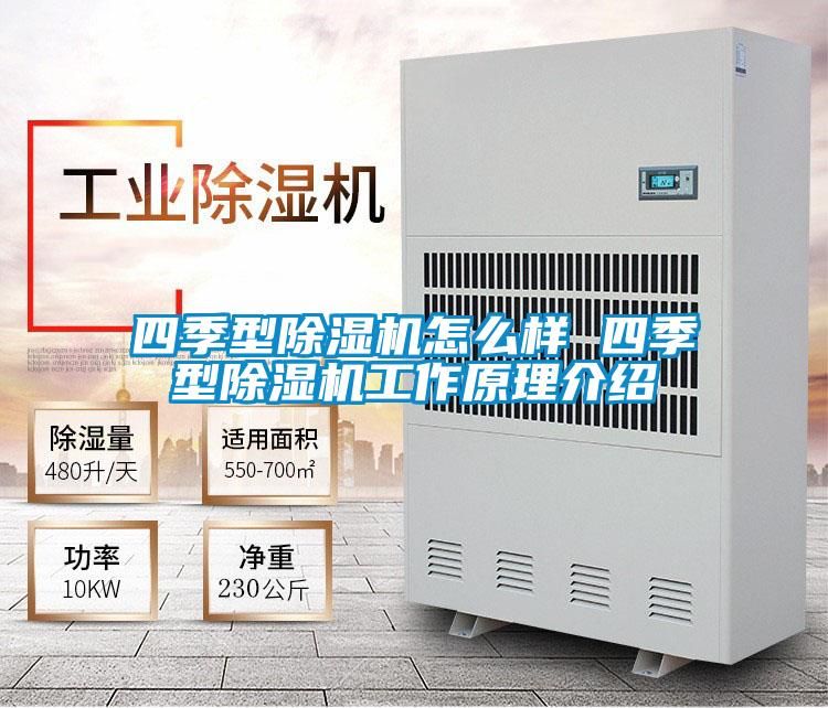 四季型麻豆视频黄网站怎么样 四季型麻豆视频黄网站工作原理介绍