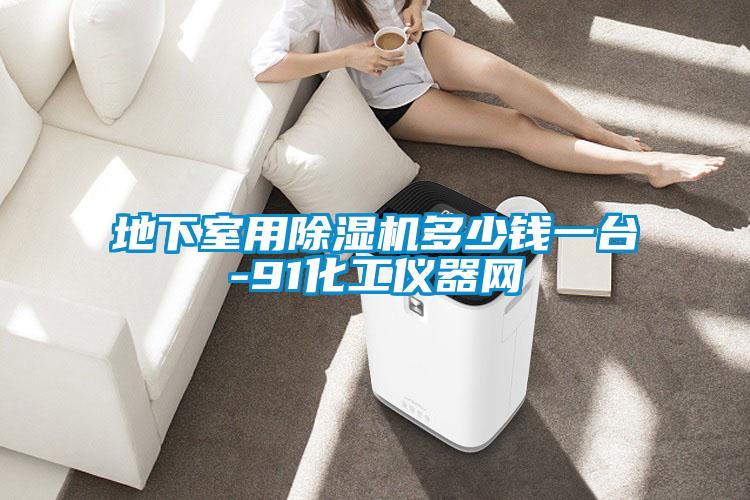 地下室用麻豆视频黄网站多少钱一台-91化工仪器网