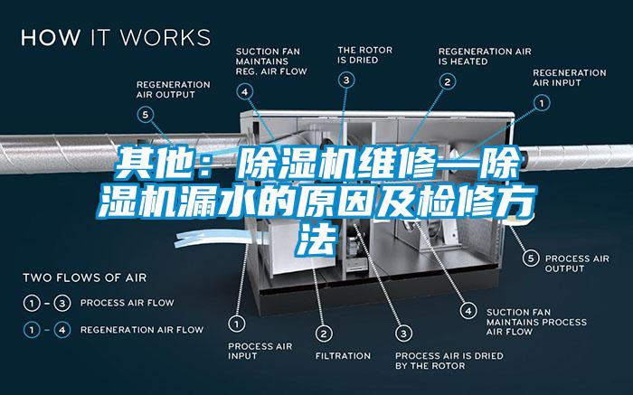 其他：麻豆视频黄网站维修—麻豆视频黄网站漏水的原因及检修方法