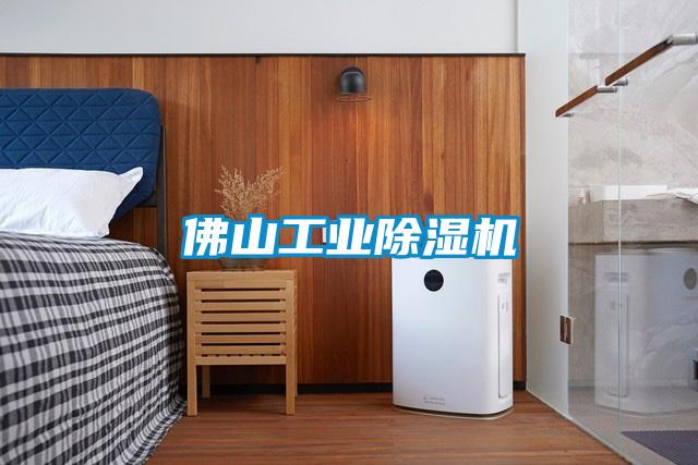 佛山工业麻豆视频黄网站