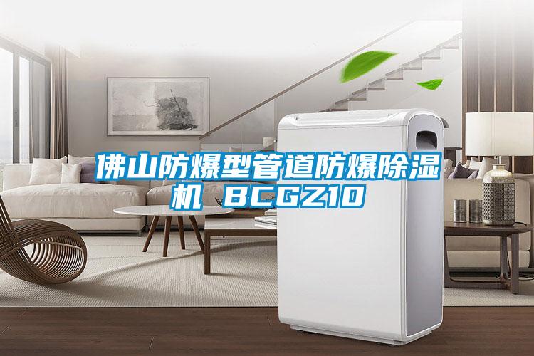 佛山防爆型管道防爆麻豆视频黄网站 BCGZ10