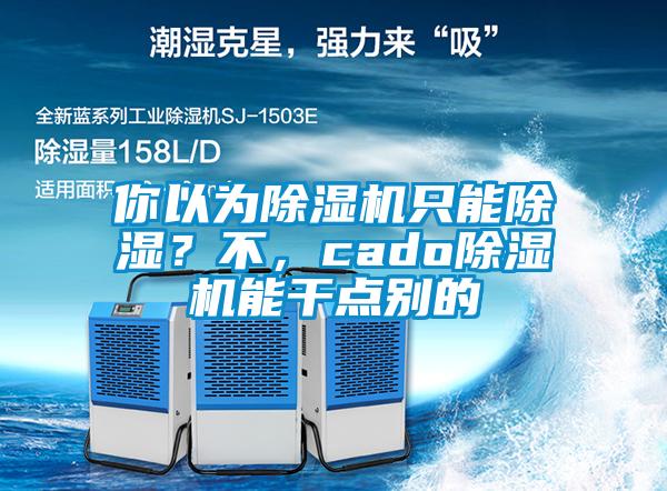 你以为麻豆视频黄网站只能除湿？不，cado麻豆视频黄网站能干点别的