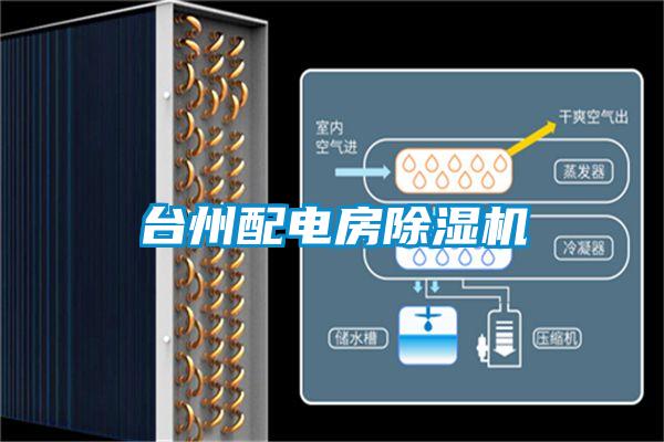 台州配电房麻豆视频黄网站