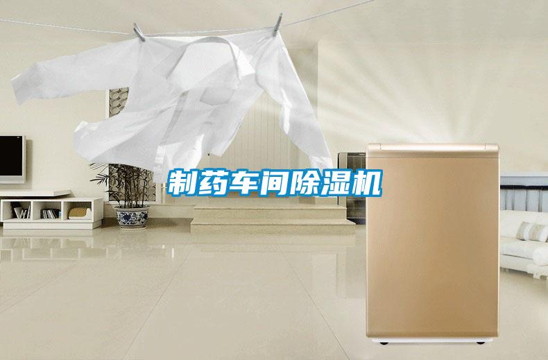 制药车间麻豆视频黄网站