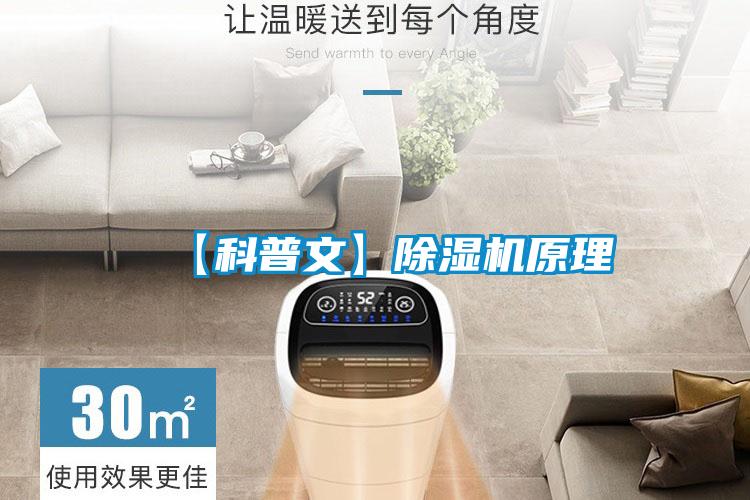 【科普文】麻豆视频黄网站原理