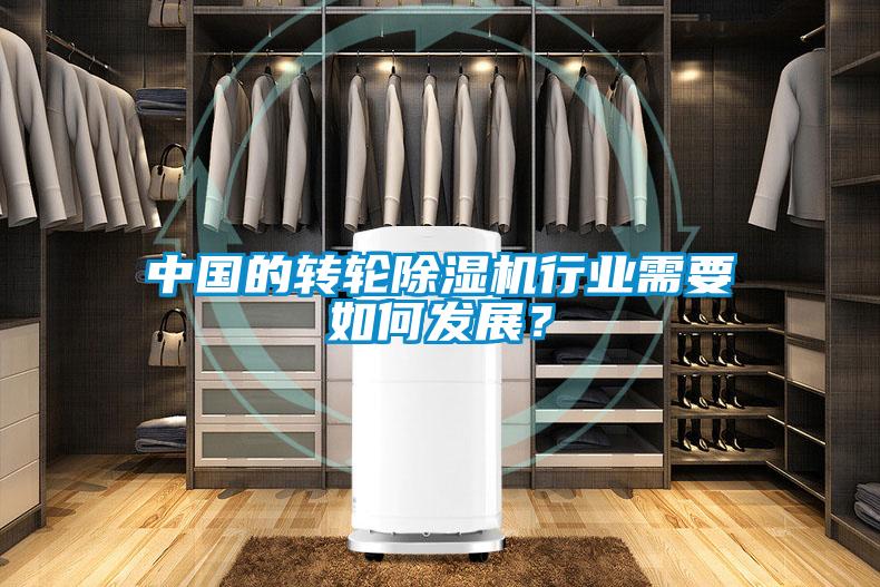 中国的转轮麻豆视频黄网站行业需要如何发展？