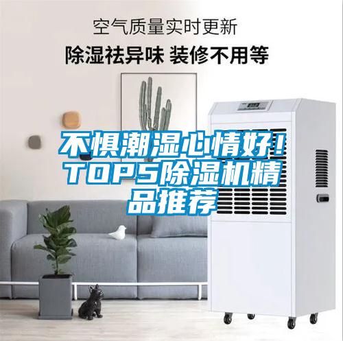 不惧潮湿心情好！TOP5麻豆视频黄网站精品推荐