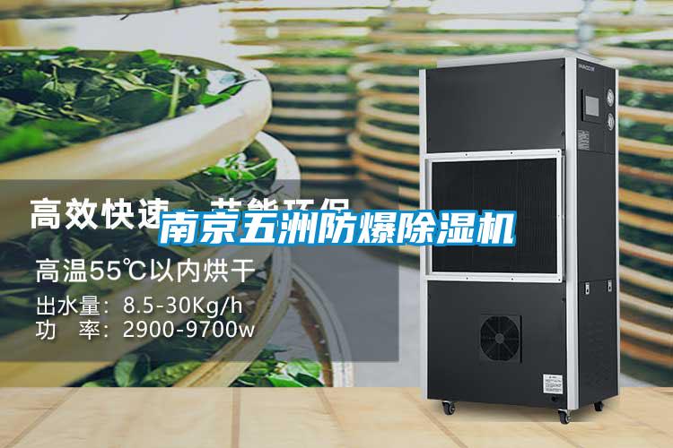 南京五洲防爆麻豆视频黄网站