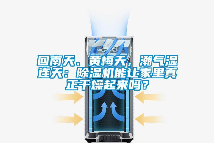 回南天、黄梅天，潮气湿连天：麻豆视频黄网站能让家里真正干燥起来吗？