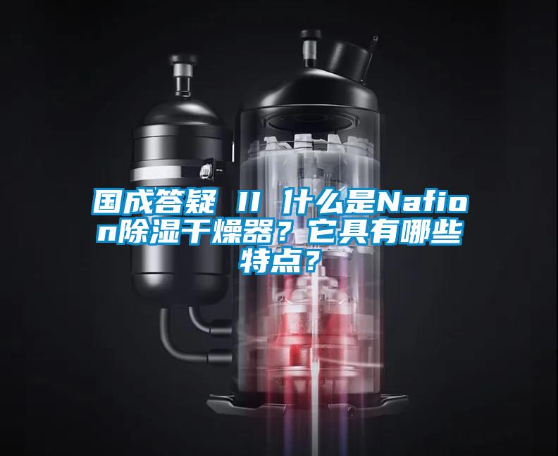 国成答疑 II 什么是Nafion除湿干燥器？它具有哪些特点？