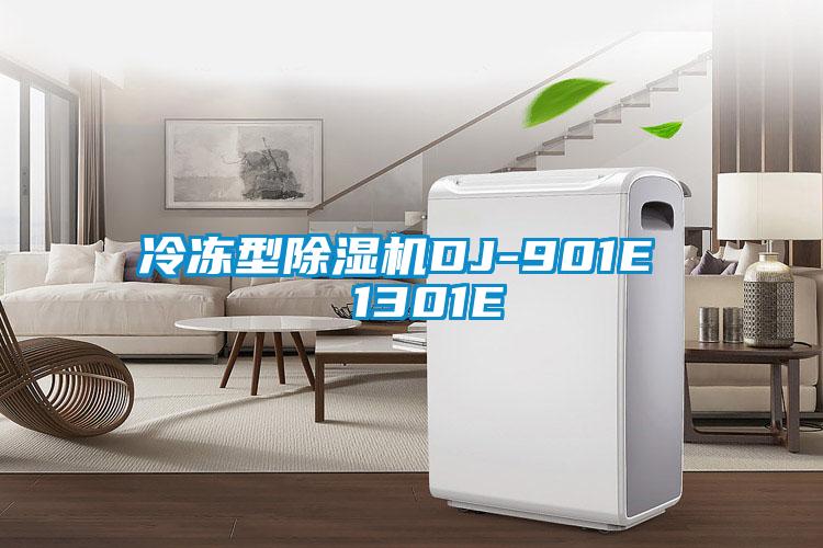冷冻型麻豆视频黄网站DJ-901E  1301E