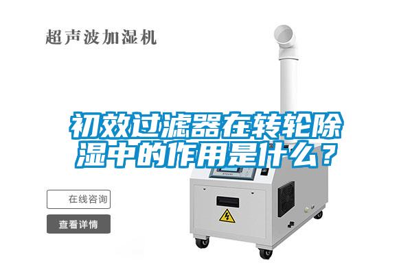 初效过滤器在转轮除湿中的作用是什么？