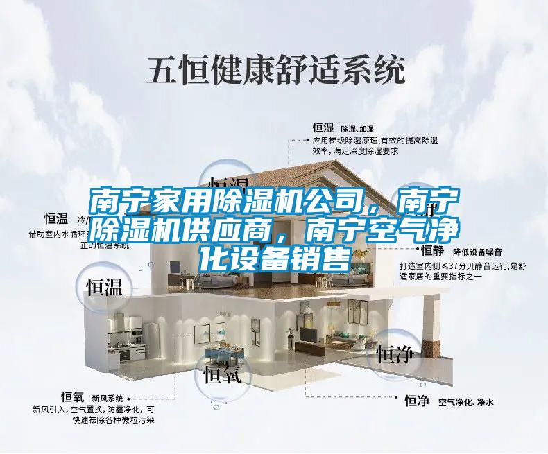 南宁家用麻豆视频黄网站公司，南宁麻豆视频黄网站供应商，南宁空气净化设备销售