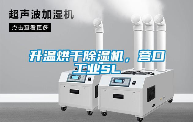 升温烘干麻豆视频黄网站，营口工业SL