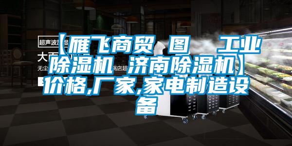 【雁飞商贸 图  工业麻豆视频黄网站 济南麻豆视频黄网站】价格,厂家,家电制造设备
