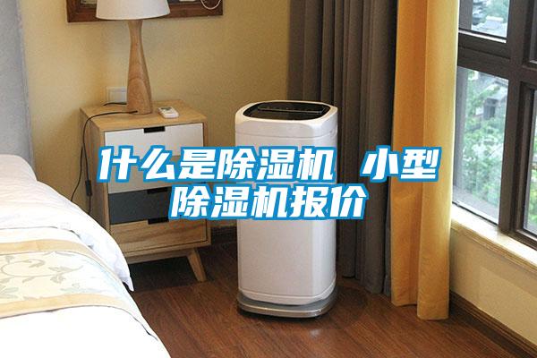什么是麻豆视频黄网站 小型麻豆视频黄网站报价