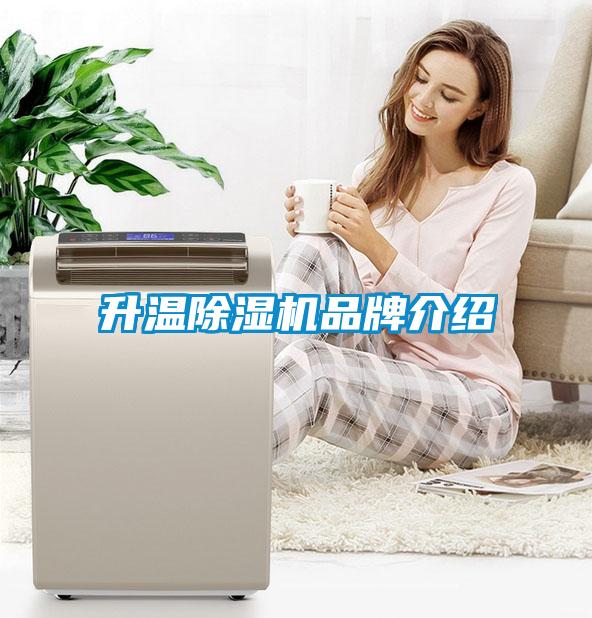 升温麻豆视频黄网站品牌介绍