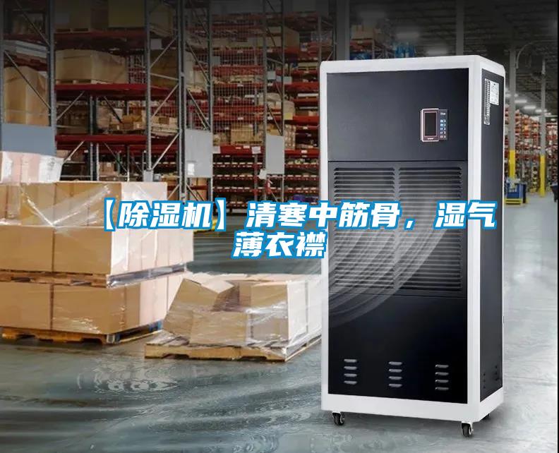 【麻豆视频黄网站】清寒中筋骨，湿气薄衣襟