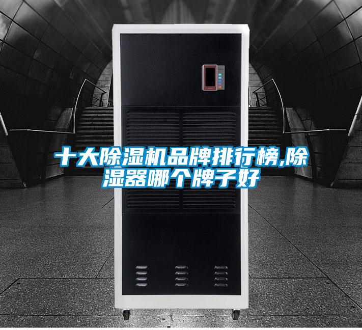 十大麻豆视频黄网站品牌排行榜,除湿器哪个牌子好